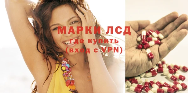 прущие грибы Уссурийск