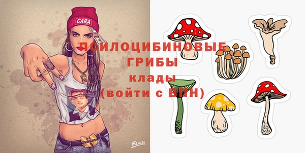 МДПВ Пролетарск