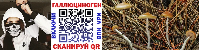 Галлюциногенные грибы Magic Shrooms  где продают наркотики  Ак-Довурак 